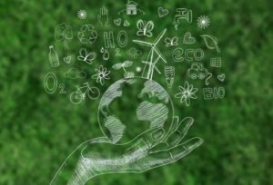 ISO 14001: Meaning, Standard and Requirements