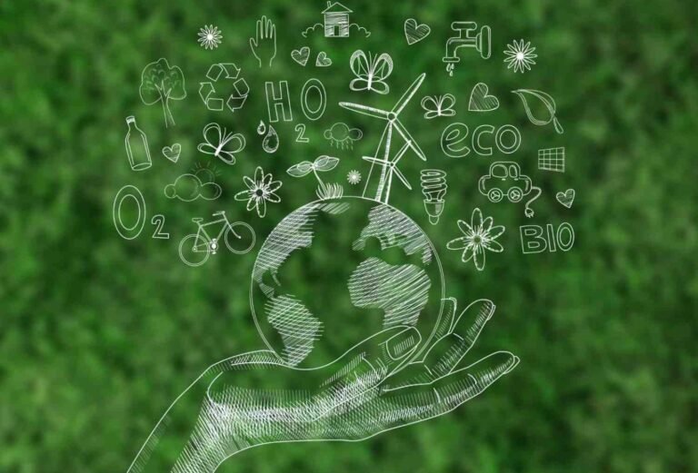 ISO 14001: Meaning, Standard and Requirements